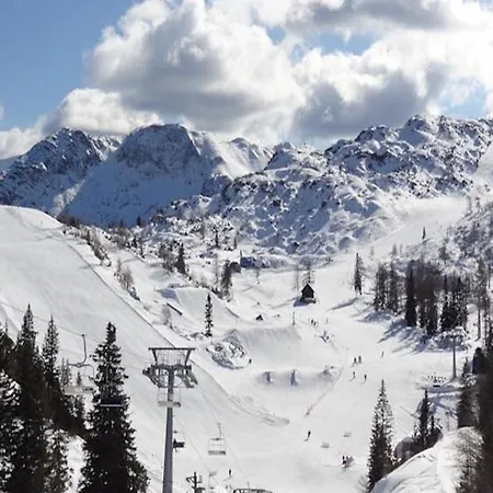 酒店 Vogel 博希尼