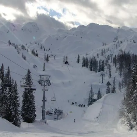 Vogel 酒店 博希尼