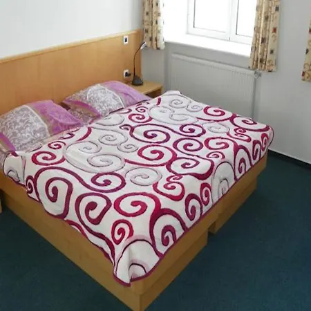 Vogel 酒店 博希尼